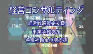 ビジョンコンサル,サービス,経営コンサルティング